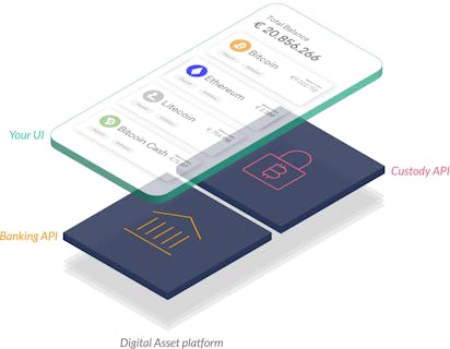 solaris digital assets