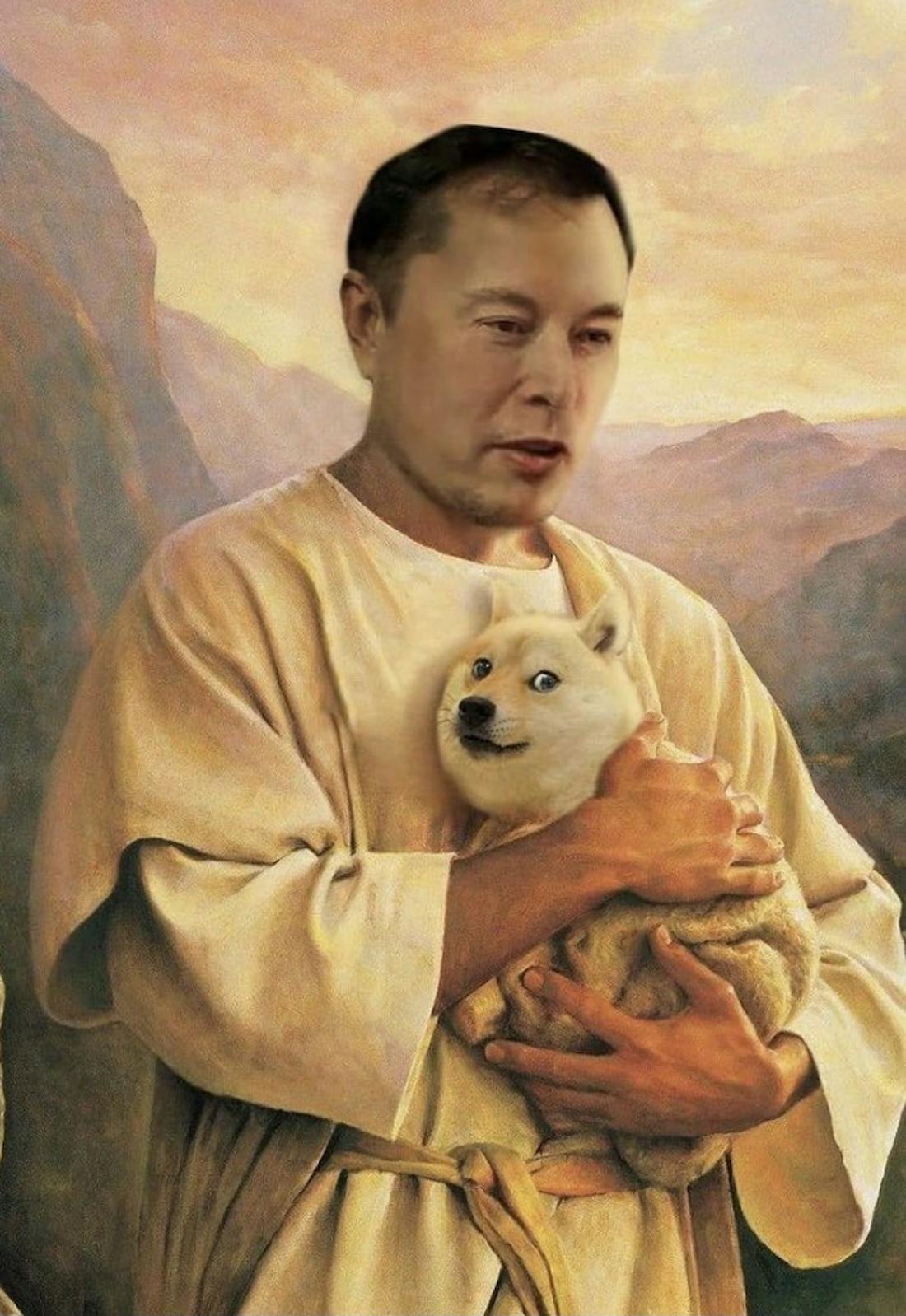 elon doge onderzoek