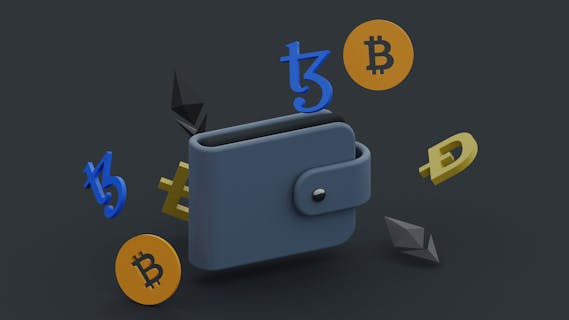 veilige bitcoin en crypto wallet